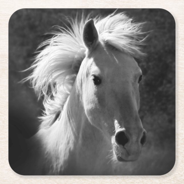 Horse Portrait V Square Paper Coaster (Front)