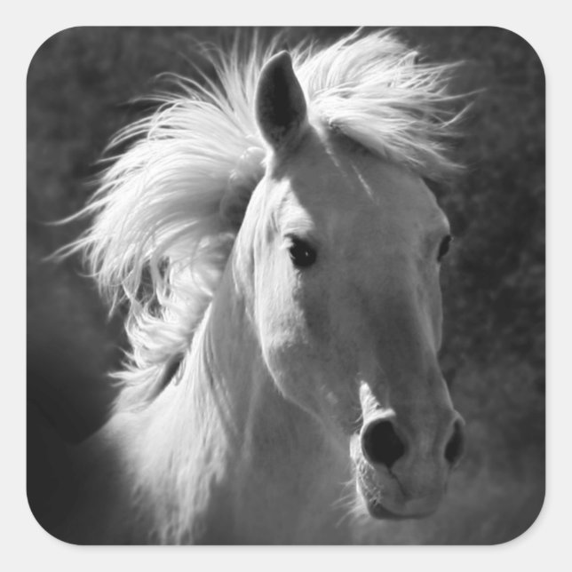 Horse Portrait V Square Sticker (Front)