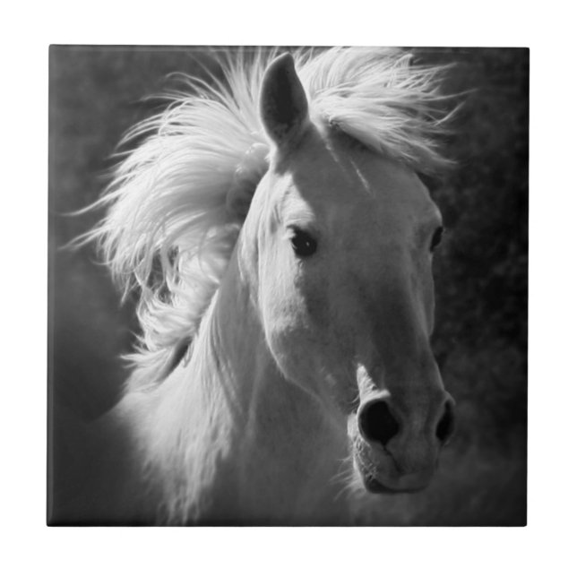 Horse Portrait V Tile (Front)