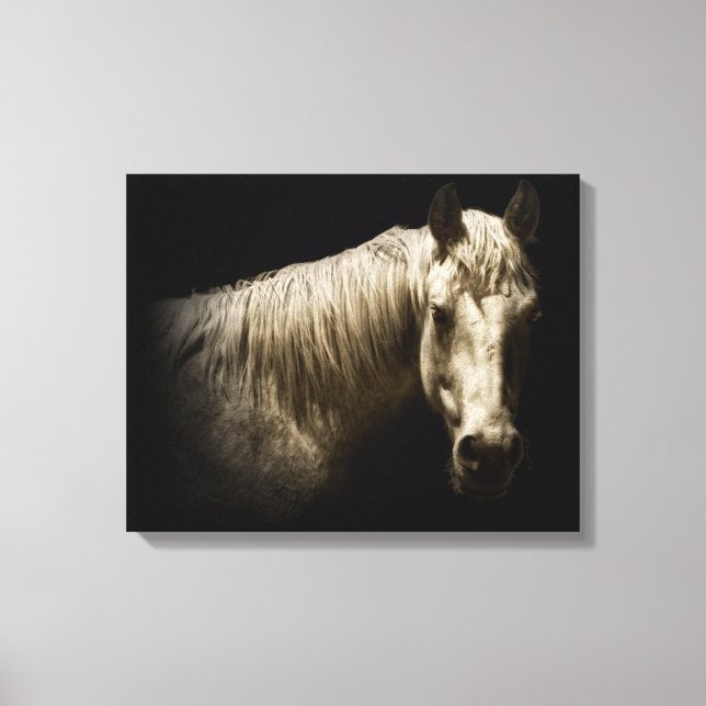 Horse Portrait VI Canvas Print (Front)