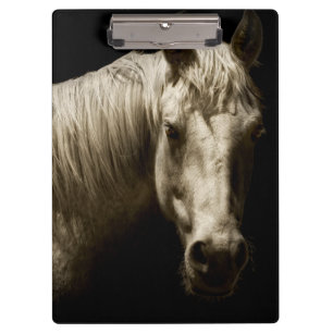 Horse Portrait VI Clipboard