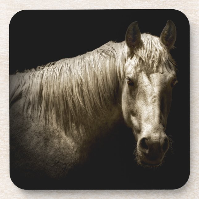 Horse Portrait VI Coaster (Front)