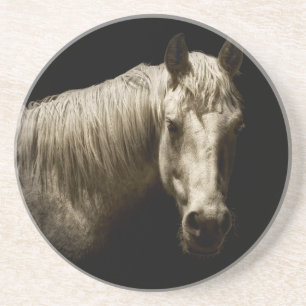 Horse Portrait VI Coaster