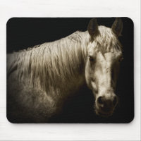 Horse Portrait VI