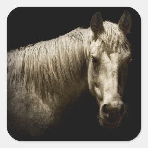 Horse Portrait VI Square Sticker