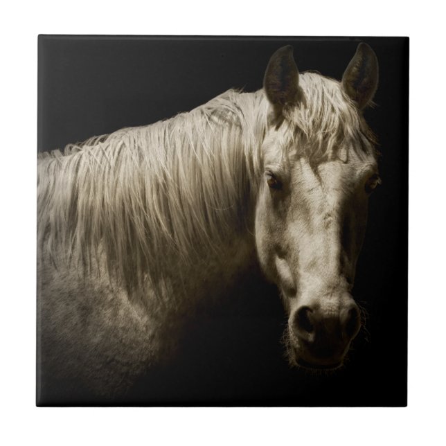 Horse Portrait VI Tile (Front)