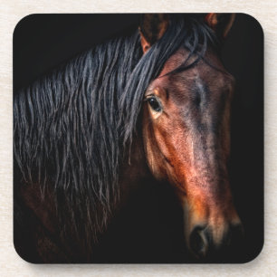 Horse Portrait VII Coaster