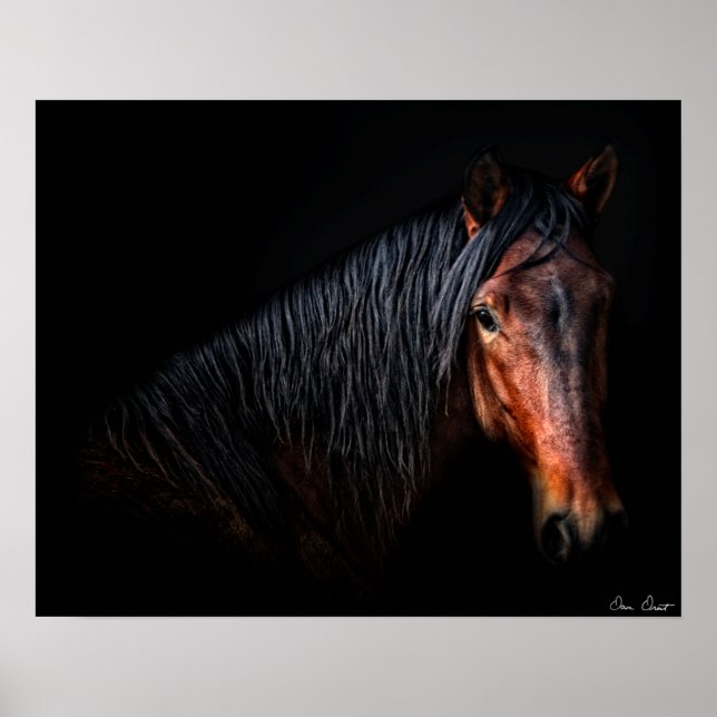 Horse Portrait VII Poster (Front)