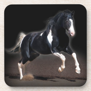 Horse Portrait VIII Coaster