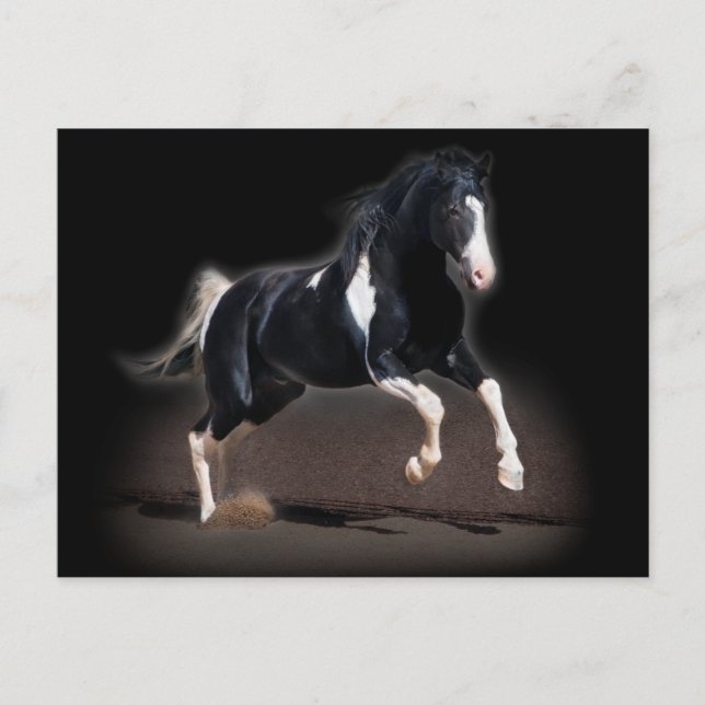 Horse Portrait VIII Postcard (Front)
