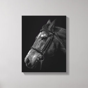 Horse Portrait - Wrapped Canvas
