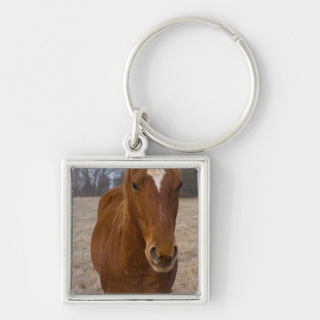 Horse pose key ring (Front)