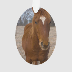 Horse pose ornament