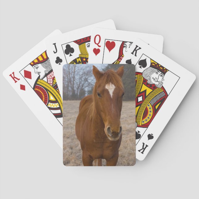 Horse pose playing cards (Back)