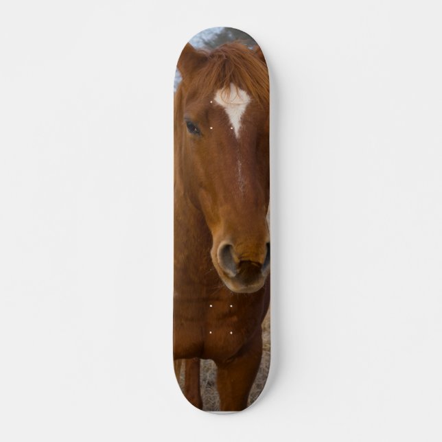 Horse pose skateboard (Front)