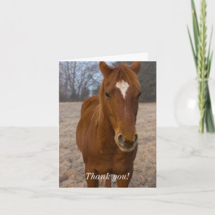 Horse Pose Thank You Card