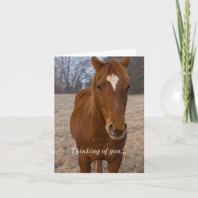 Horse Pose Thinking Of You Card (Front)