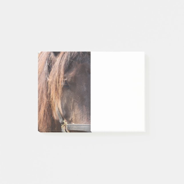 Horse Post It Note (Front)