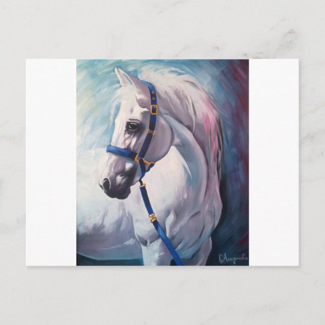 Horse Postcard (Front)