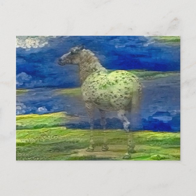 Horse Postcard (Front)