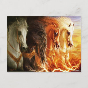 Horse Postcard