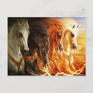 Horse Postcard
