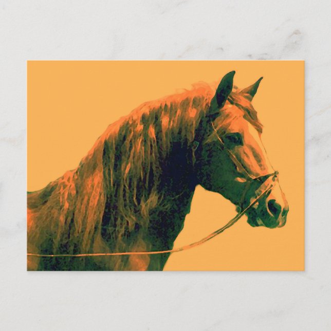 Horse Postcard (Front)