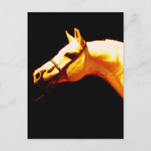 Horse Postcard