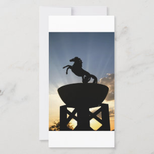 horse postcard