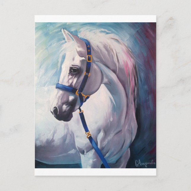 Horse Postcard (Front)