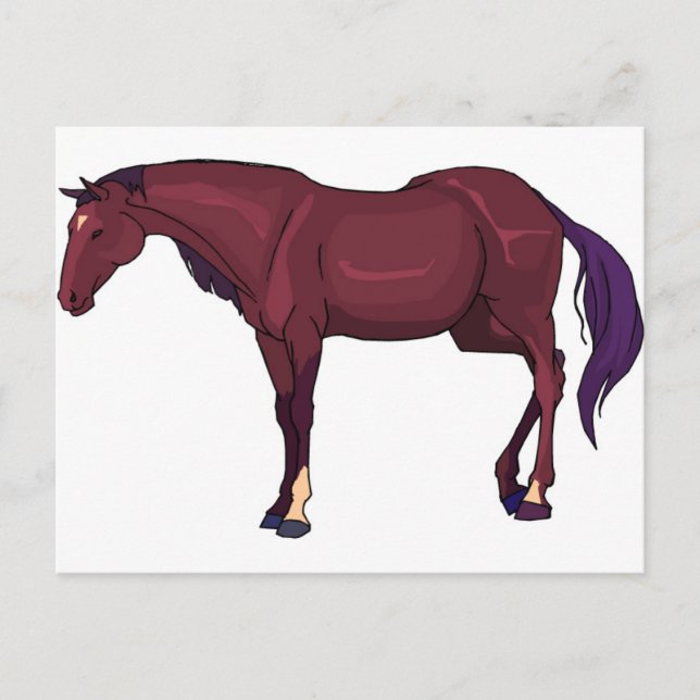 horse postcard (Front)