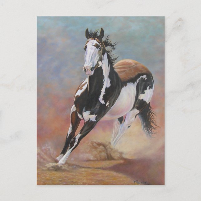 horse postcard (Front)