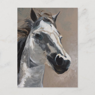 Horse Postcards