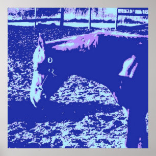 Horse Poster