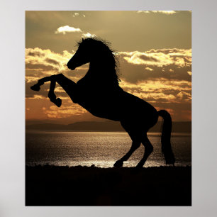 horse poster