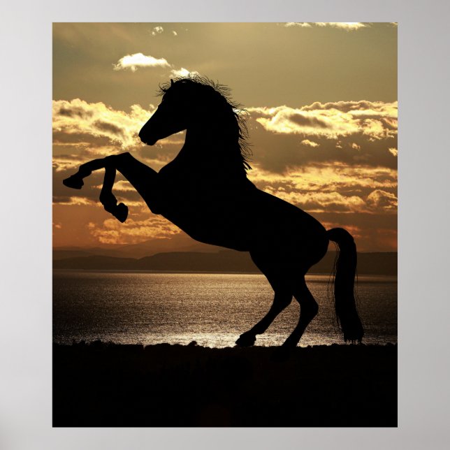 horse poster (Front)