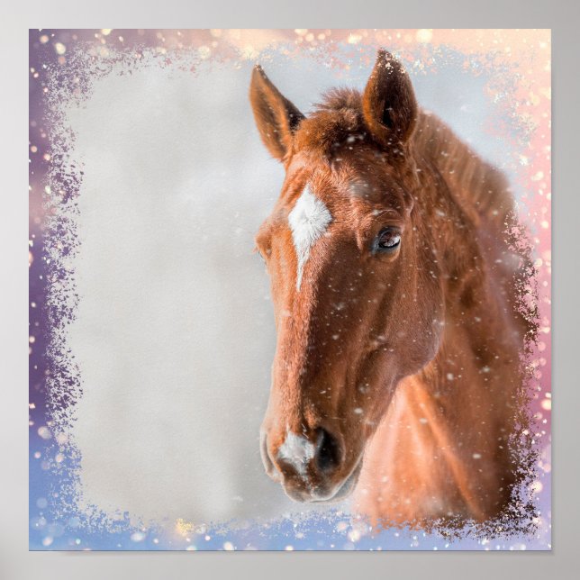 Horse  poster (Front)