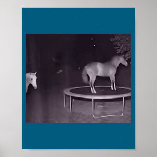 Horse poster
