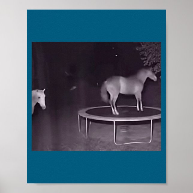 Horse  poster (Front)