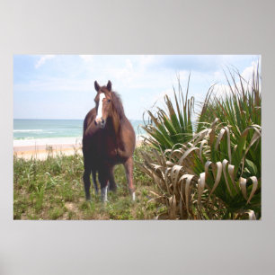 Horse Poster Beach