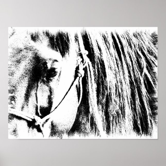Horse Poster - Black and White (Front)