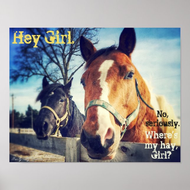 Horse Poster: "Hey Girl." Poster (Front)