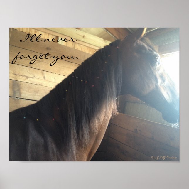 Horse poster: "I'll Never Forget You." Poster (Front)