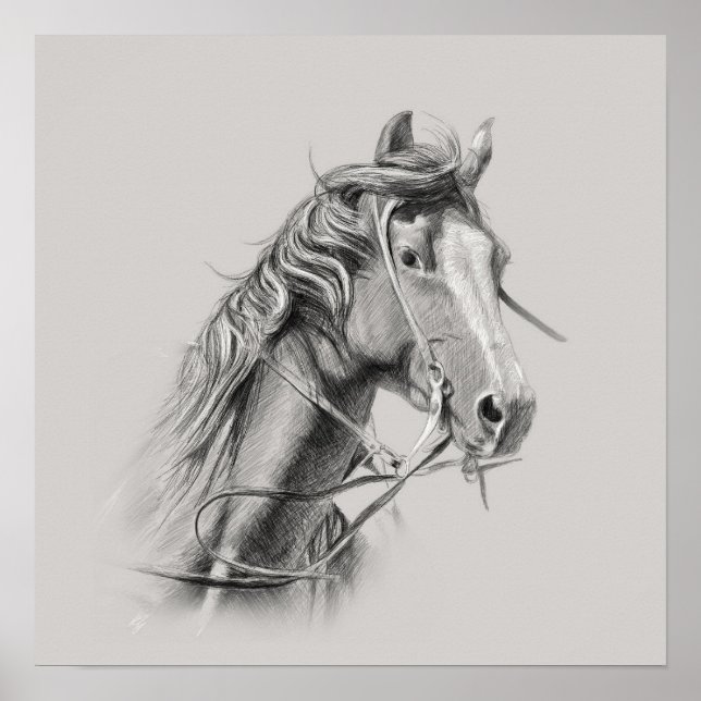 Horse Poster: Majestic Power on Display Poster (Front)