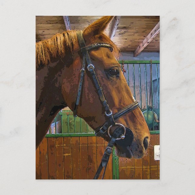 Horse Poster Postcard (Front)