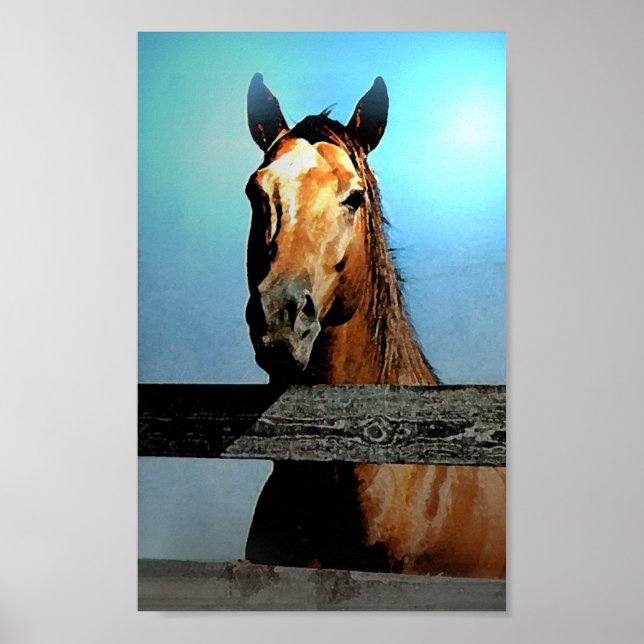 Horse Poster Print (Front)