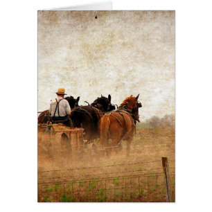 Horse Powered Field Work