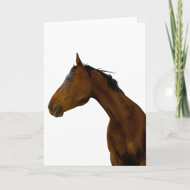 Horse Profile Greeting & Note Cards (Front)