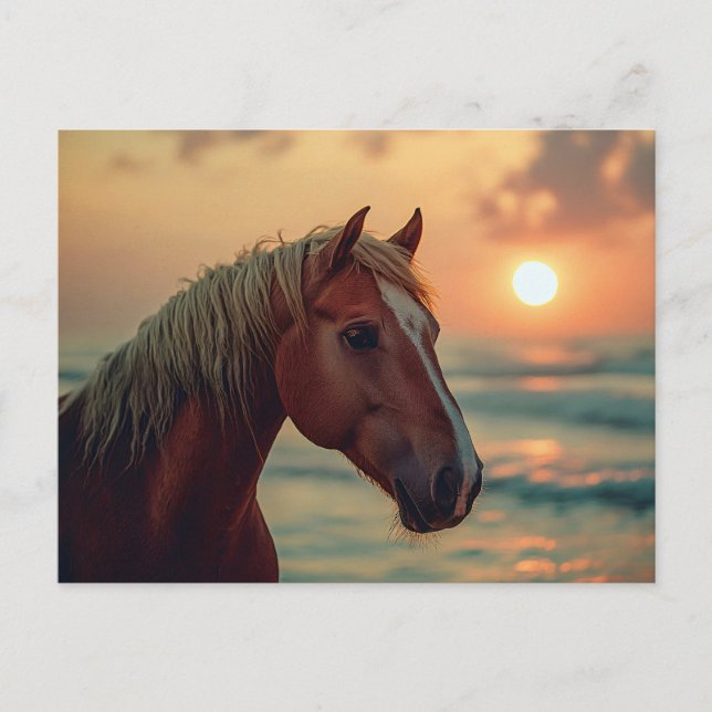 Horse Profile Sunset on the Beach Postcard (Front)