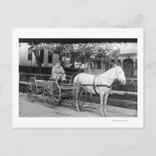 Horse pulling Delivery Wagon Photograph Postcard (Front)